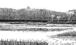 vall&eacute;e des brumes