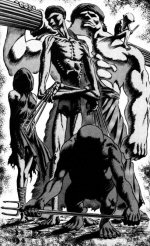 Survol personnage