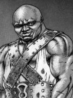 Survol personnage